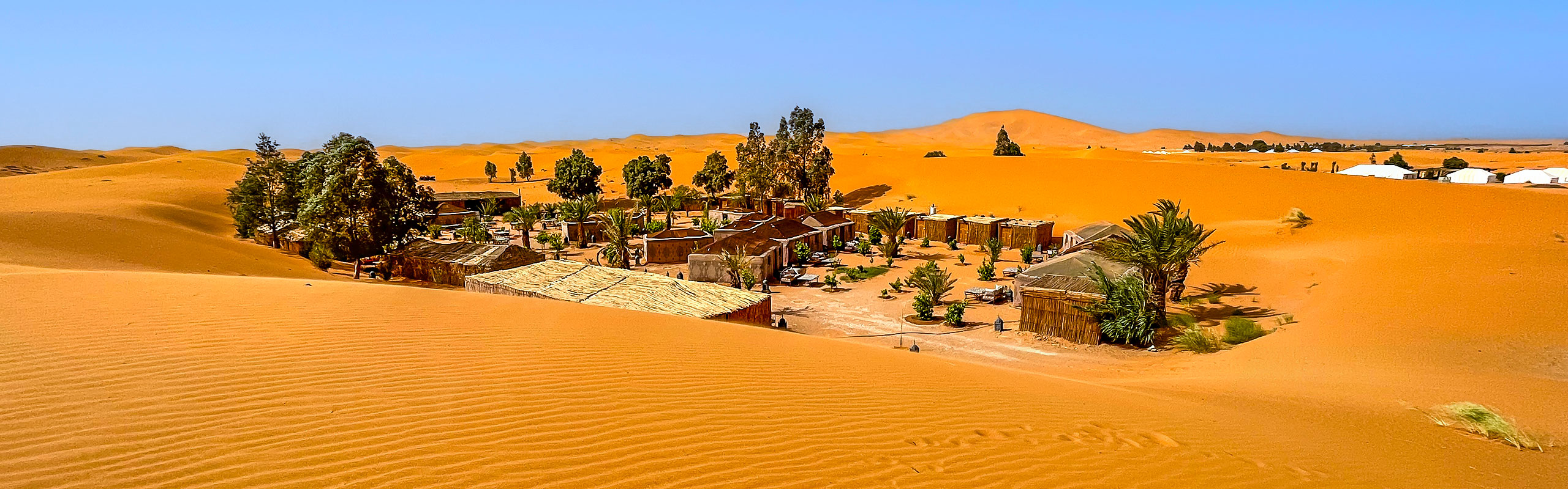 Namibia Desert