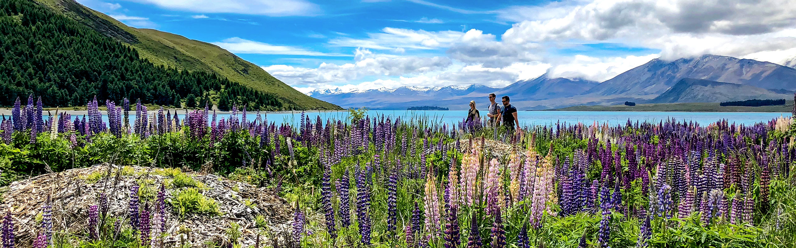 Lake Tekapo, New Zealand